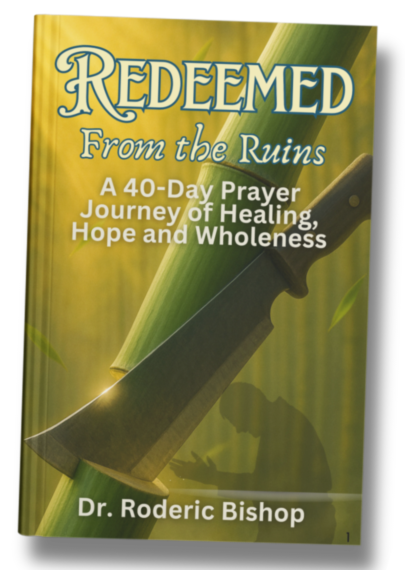 Prayer Book book cover