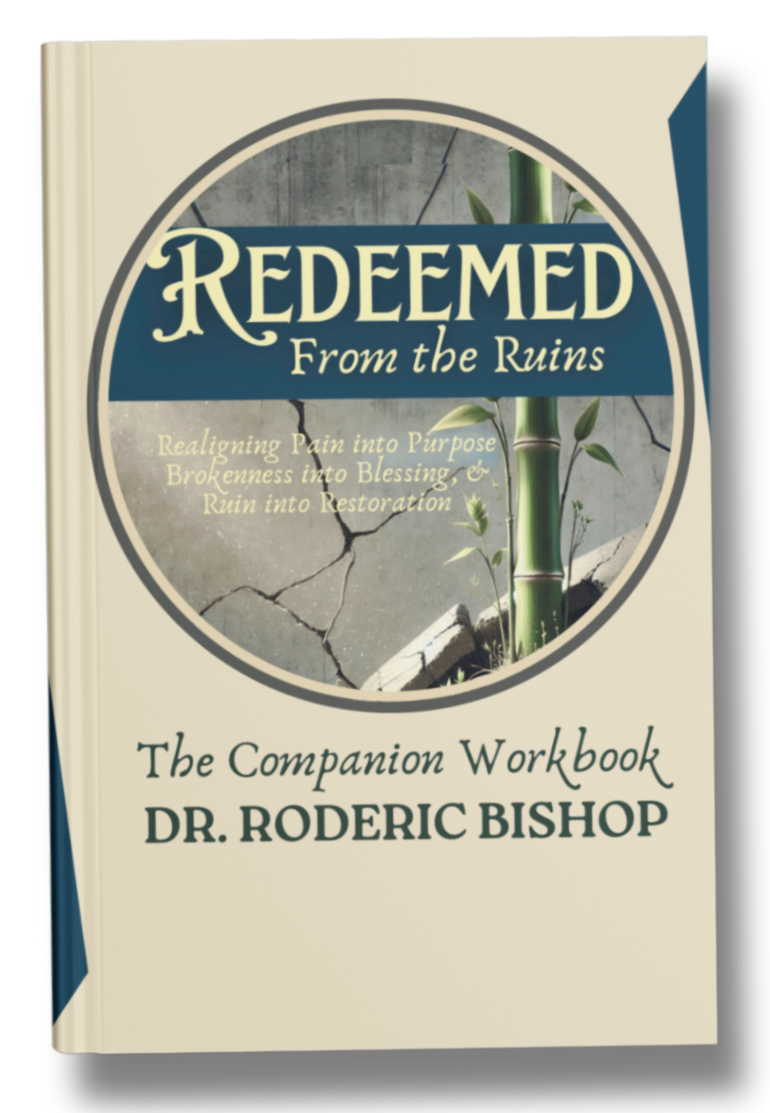 Companion WorkBook book cover